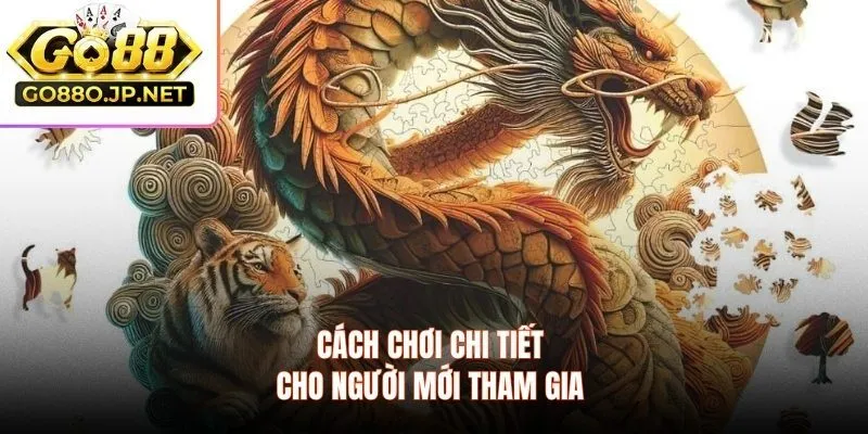 Cách chơi chi tiết cho người mới tham gia