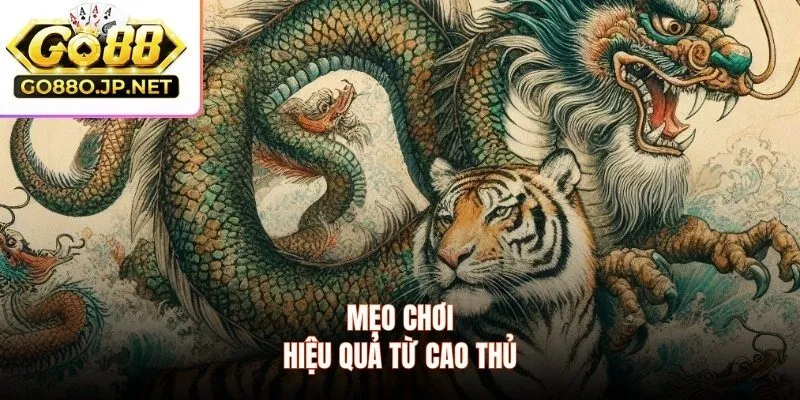 Mẹo chơi hiệu quả từ cao thủ của cổng game
